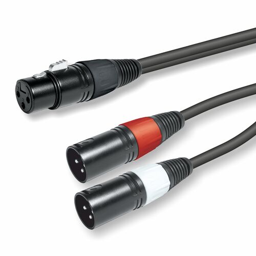 CONEXION XLR H-2 XLR M 0,2M